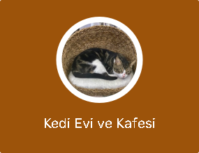 Kedi Evi ve Kafesi