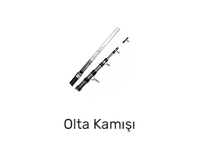 Olta Kamışı