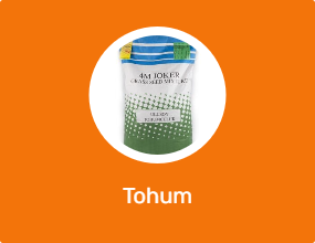 Tohum