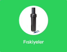 Fıskiyeler