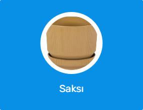 Saksı