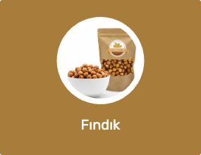 Fındık