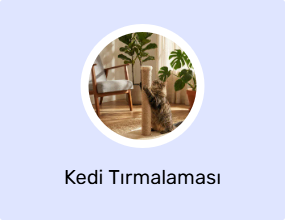Kedi Tırmalaması