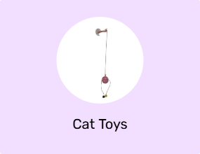 Cat Toys
