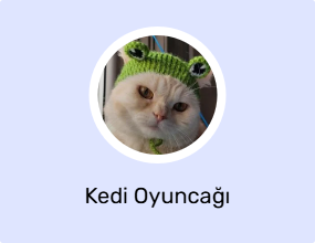 Kedi Oyuncağı
