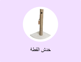 خدش القطة