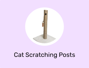 Cat Scratching Posts