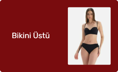 Bikini Üstü