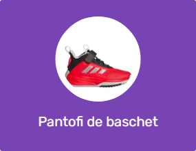 Pantofi de baschet