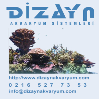 Dizayn Akvaryum Sistemleri
