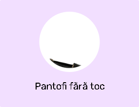 Pantofi fără toc