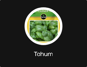 Tohum