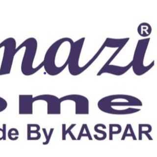 KASPAR AVM logo