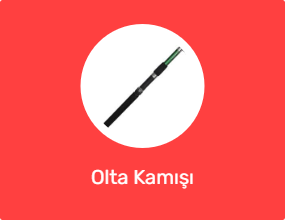 Olta Kamışı