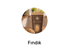 Fındık