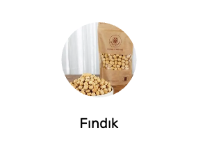 Fındık