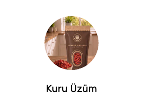 Kuru Üzüm