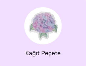 Kağıt Peçete