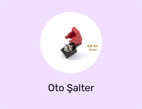 Oto Şalter