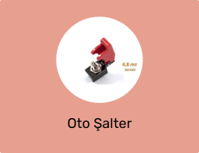 Oto Şalter