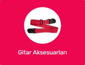 Gitar Aksesuarları