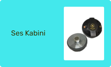 Ses Kabini