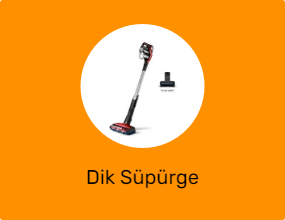 Dik Süpürge