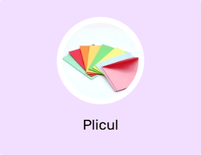 Plicul