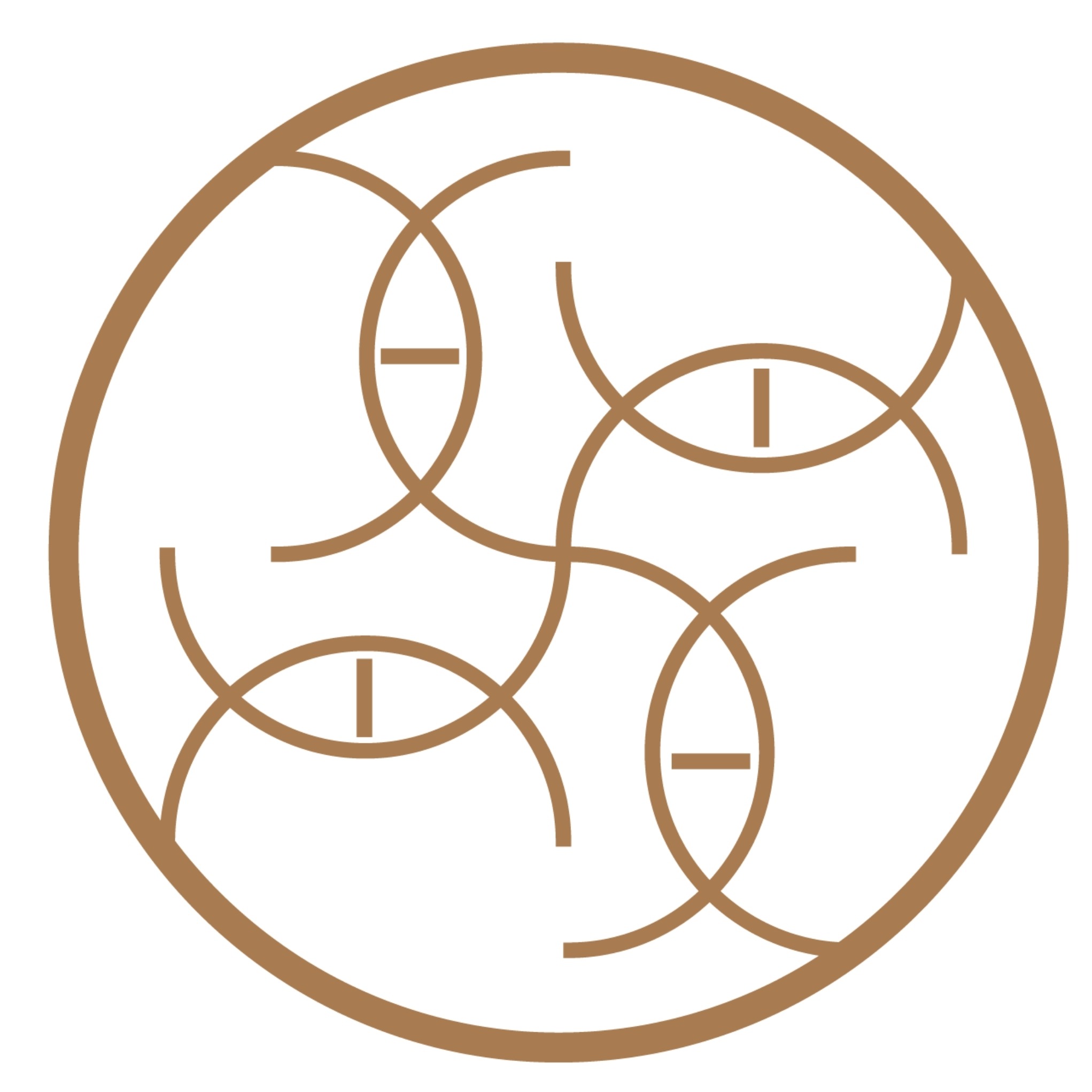 SOL N TOUCH logo