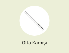 Olta Kamışı