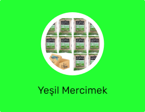 Yeşil Mercimek