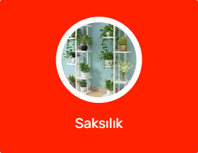 Saksılık