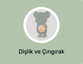 Dişlik ve Çıngırak