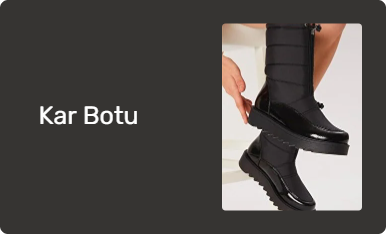 Kar Botu