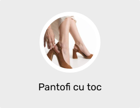 Pantofi cu toc
