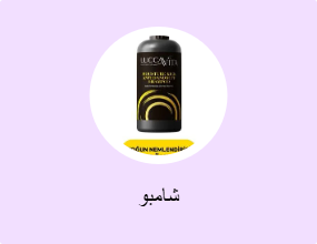 شامبو