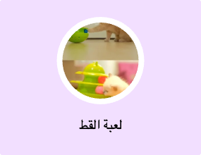 لعبة القط