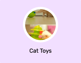 Cat Toys