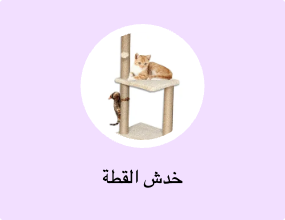 خدش القطة