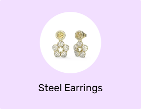 Steel Earrings