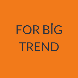 FOR BİG TREND logo
