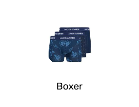 Boxer