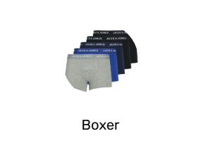 Boxer