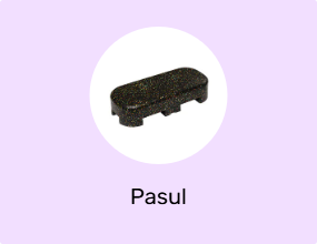 Pasul