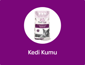 Kedi Kumu