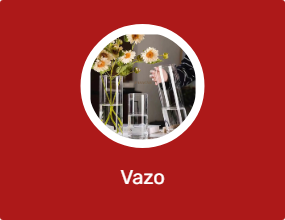 Vazo