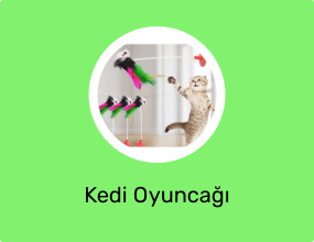Kedi Oyuncağı