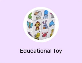 Educational Toy