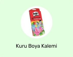 Kuru Boya Kalemi
