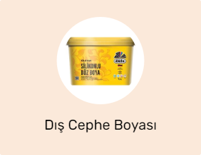 Dış Cephe Boyası